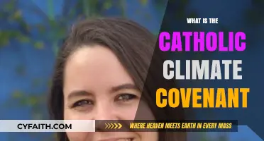 Understanding the Catholic Climate Covenant: Faith, Action, and Environmental Stewardship