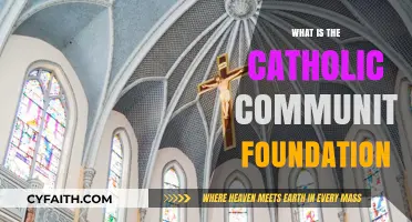 Understanding the Catholic Community Foundation: Mission, Impact, and Faith in Action
