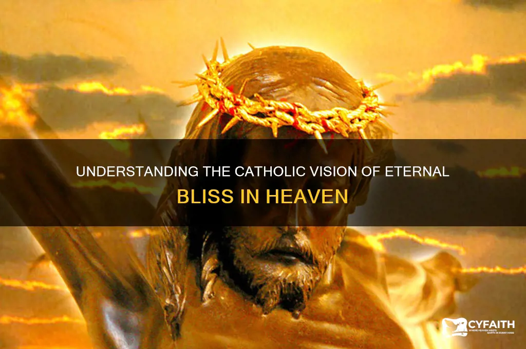 what is the catholic concept of heaven