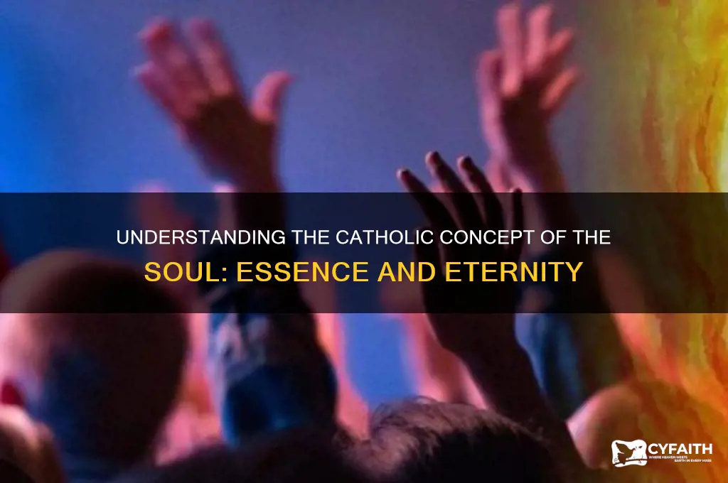 what is the catholic concept of soul