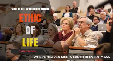 Understanding the Catholic Consistent Ethic of Life: Principles and Practice