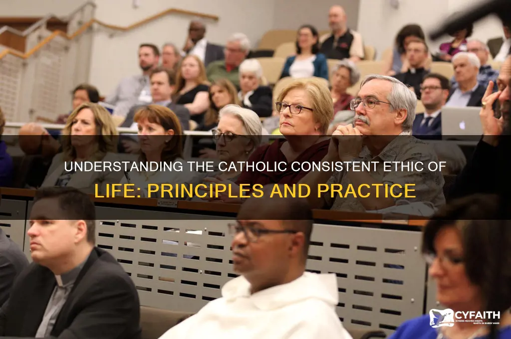 what is the catholic consistent ethic of life