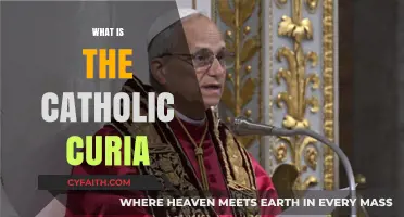 Understanding the Catholic Curia: Structure, Role, and Influence Explained