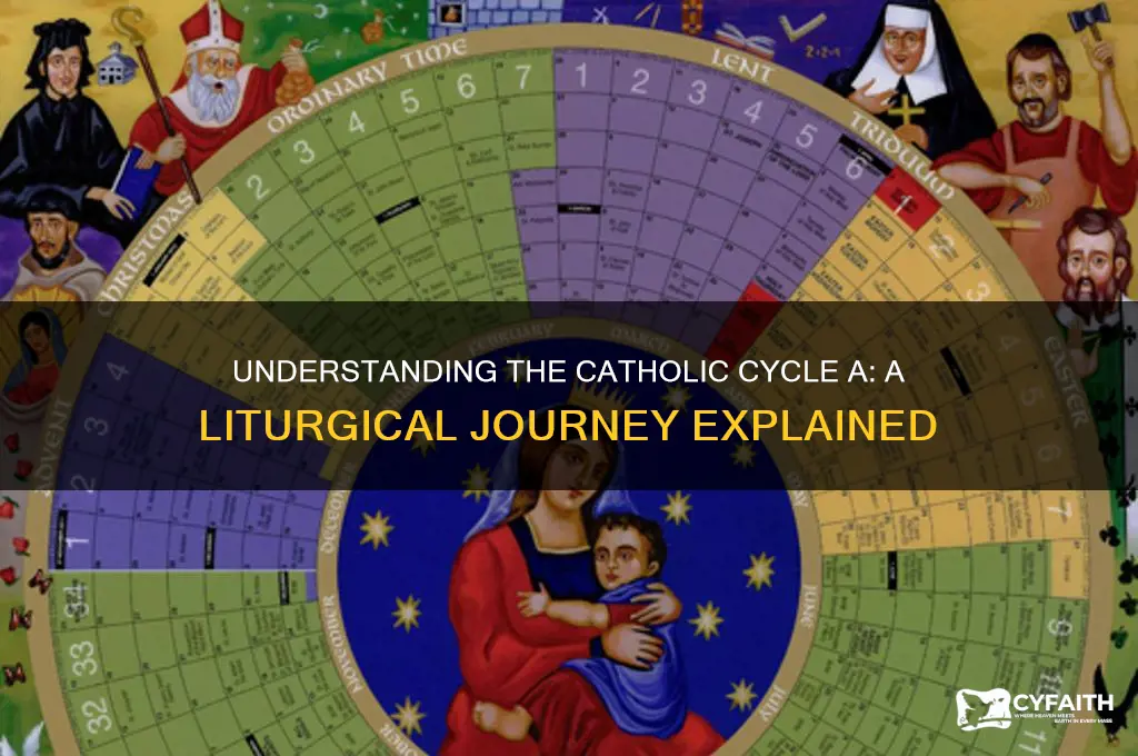 what is the catholic cycle a