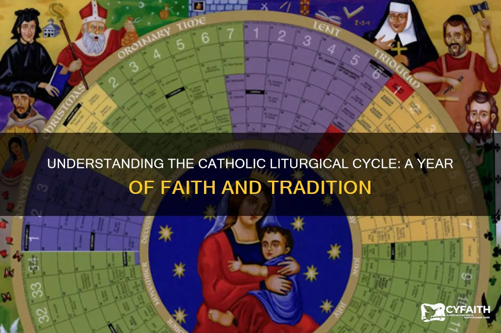 what is the catholic cycle year