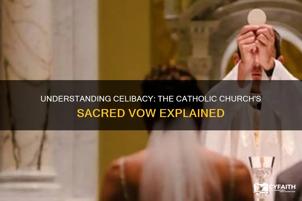 what is the catholic definition of celibacy