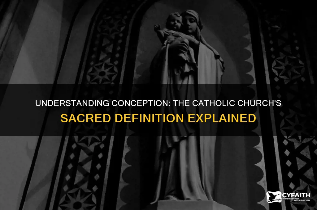 what is the catholic definition of conception