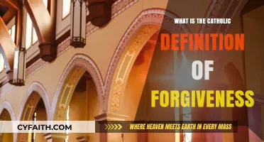 Understanding Catholic Forgiveness: Divine Mercy, Repentance, and Reconciliation Explained