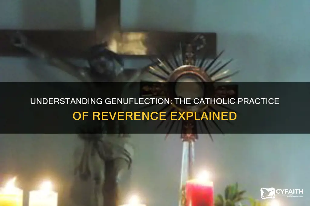 what is the catholic definition of genuflect