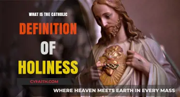Understanding Holiness: The Catholic Perspective on Sanctity and Grace