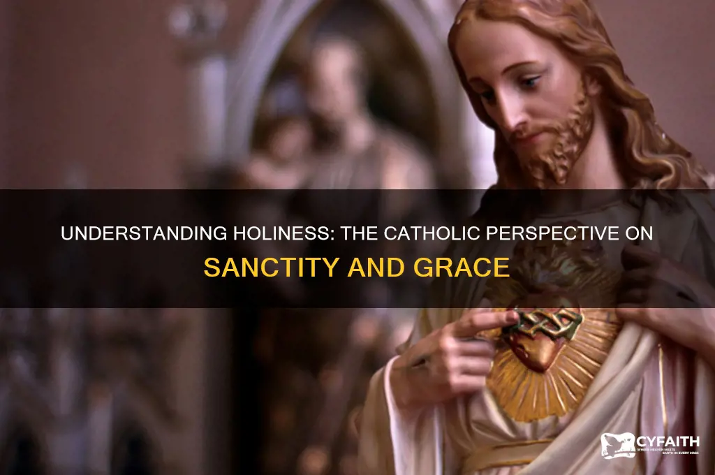 what is the catholic definition of holiness