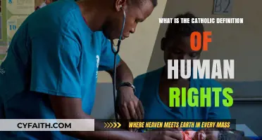Understanding Human Rights: A Catholic Perspective on Dignity and Justice