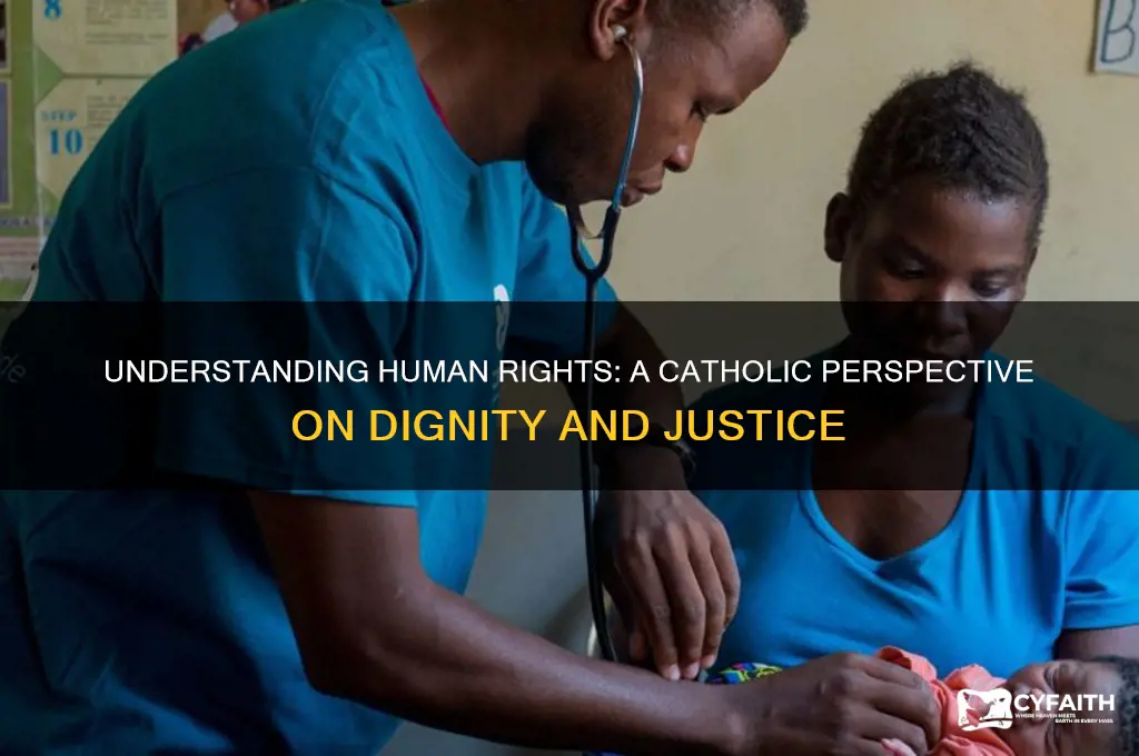 what is the catholic definition of human rights