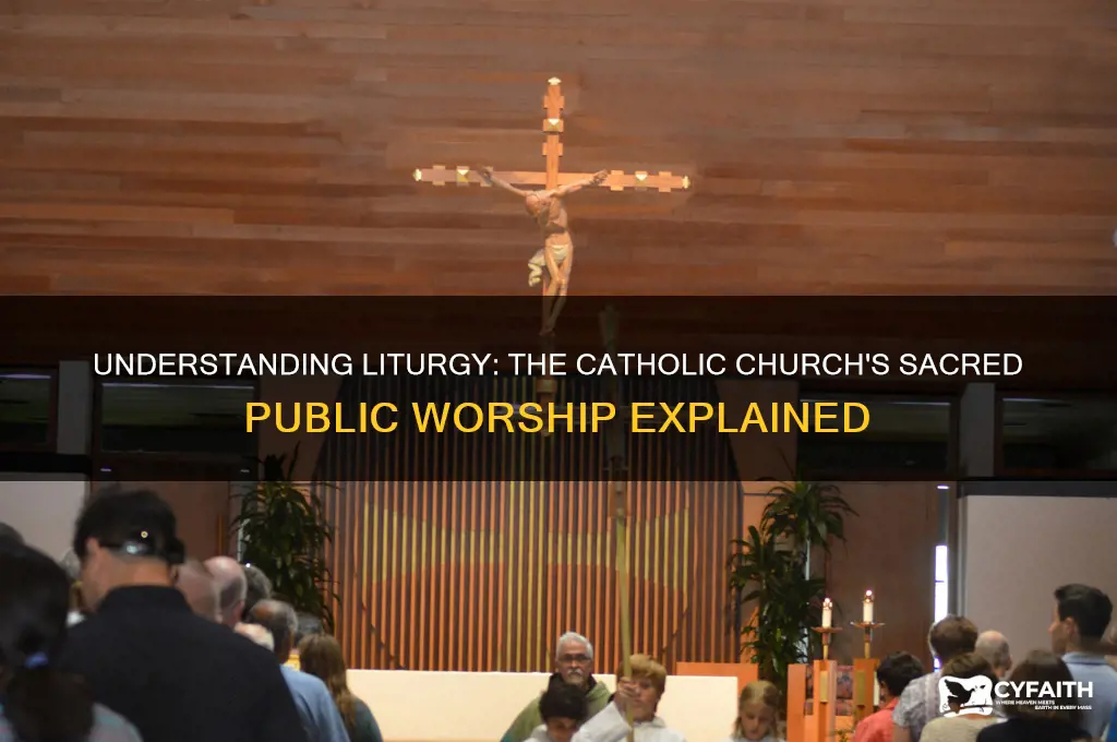 what is the catholic definition of liturgy