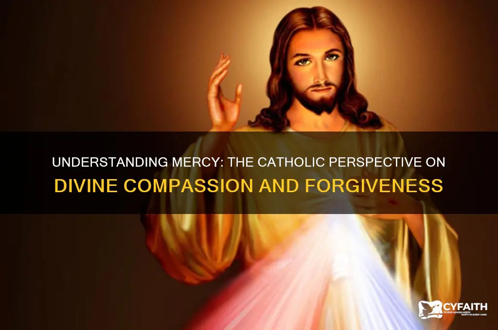what is the catholic definition of mercy