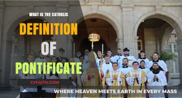 Understanding the Catholic Pontificate: Role, Authority, and Significance Explained