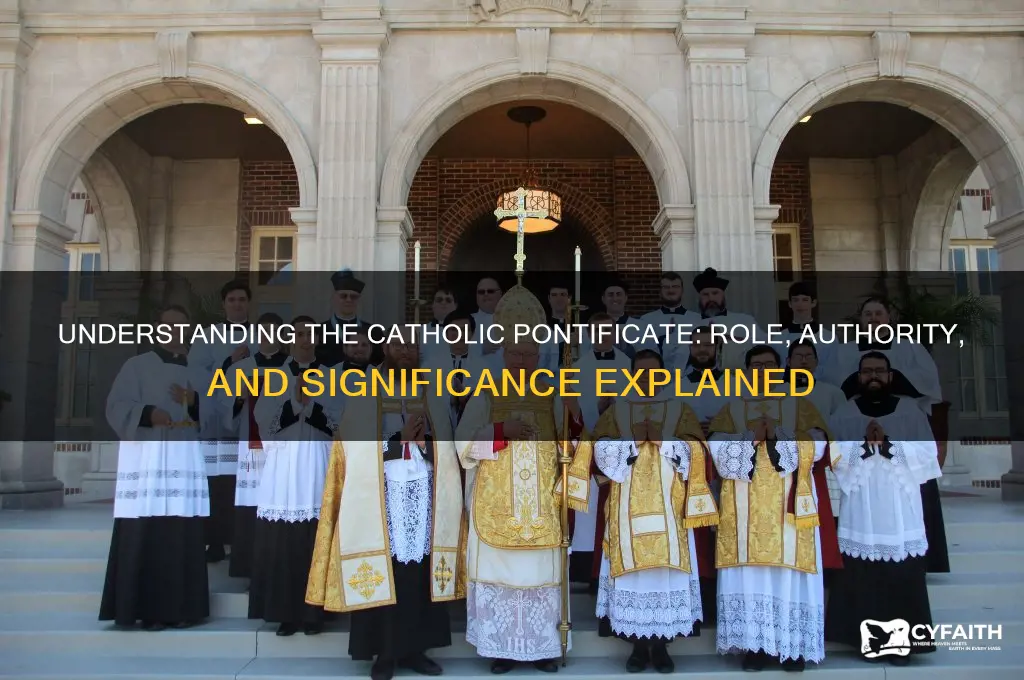 what is the catholic definition of pontificate