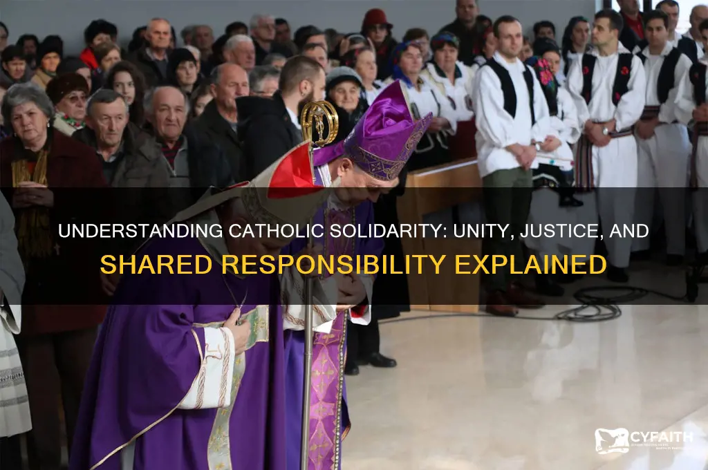 what is the catholic definition of solidarity