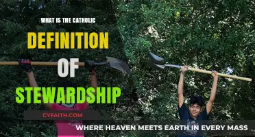 Understanding Catholic Stewardship: A Faithful Responsibility to God's Creation