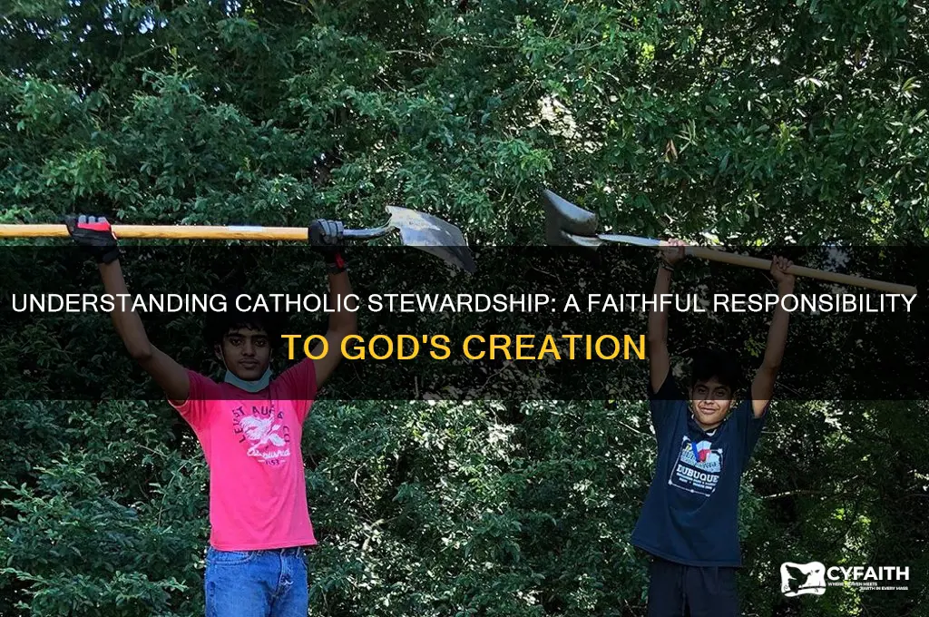 what is the catholic definition of stewardship