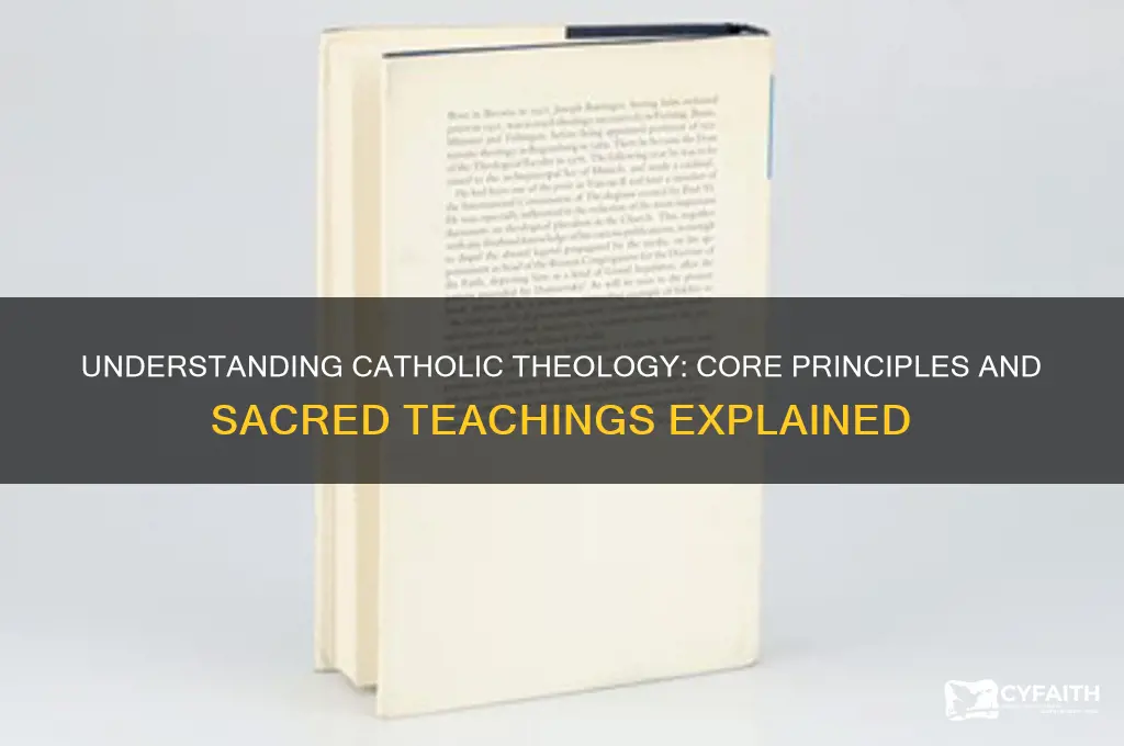 what is the catholic definition of theology