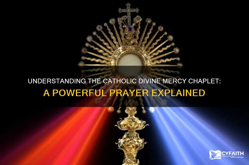 what is the catholic divine mercy chaplet