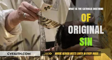 Understanding Original Sin: Core Catholic Doctrine Explained Simply