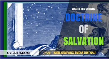 Understanding the Catholic Doctrine of Salvation: Grace, Faith, and Works