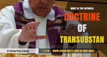 Understanding the Catholic Doctrine of Transubstantiation: Bread, Wine, and Divine Transformation