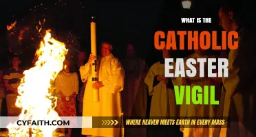 Understanding the Sacred Catholic Easter Vigil: A Night of Renewal