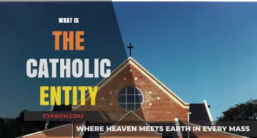 Understanding the Catholic Entity: Structure, Beliefs, and Global Influence