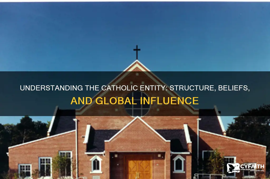 what is the catholic entity