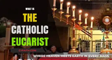 Understanding the Catholic Eucharist: Meaning, Ritual, and Significance Explained