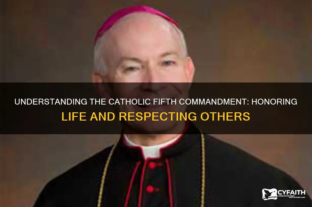 what is the catholic fifth commandment