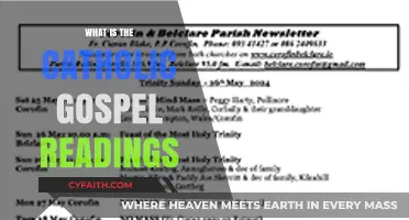 Understanding the Catholic Gospel Readings: A Spiritual Journey Explained
