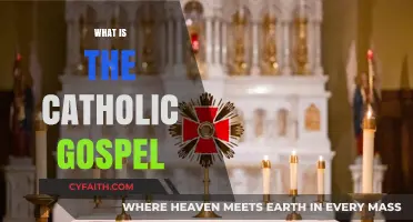 Understanding the Catholic Gospel: Core Teachings and Timeless Message
