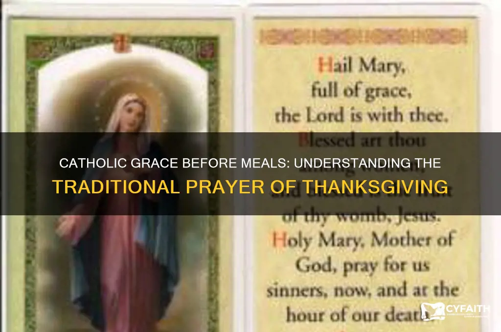what is the catholic grace before meals