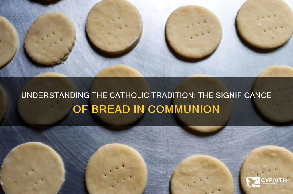what is the catholic he took bread