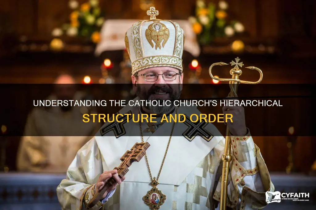what is the catholic hierarchy order