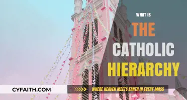 Understanding the Catholic Hierarchy: Structure, Roles, and Significance