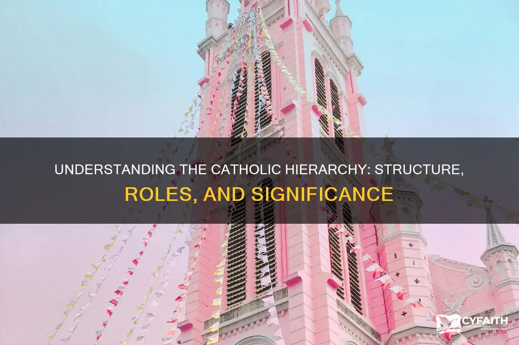 what is the catholic hierarchy