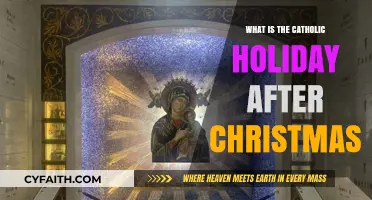 Celebrating the Solemnity of Mary: The Catholic Holiday After Christmas
