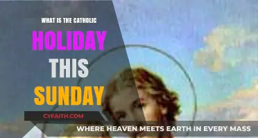 Understanding This Sunday's Catholic Feast Day and Its Significance