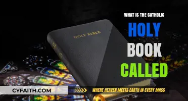 The Catholic Holy Book: Understanding the Sacred Scriptures
