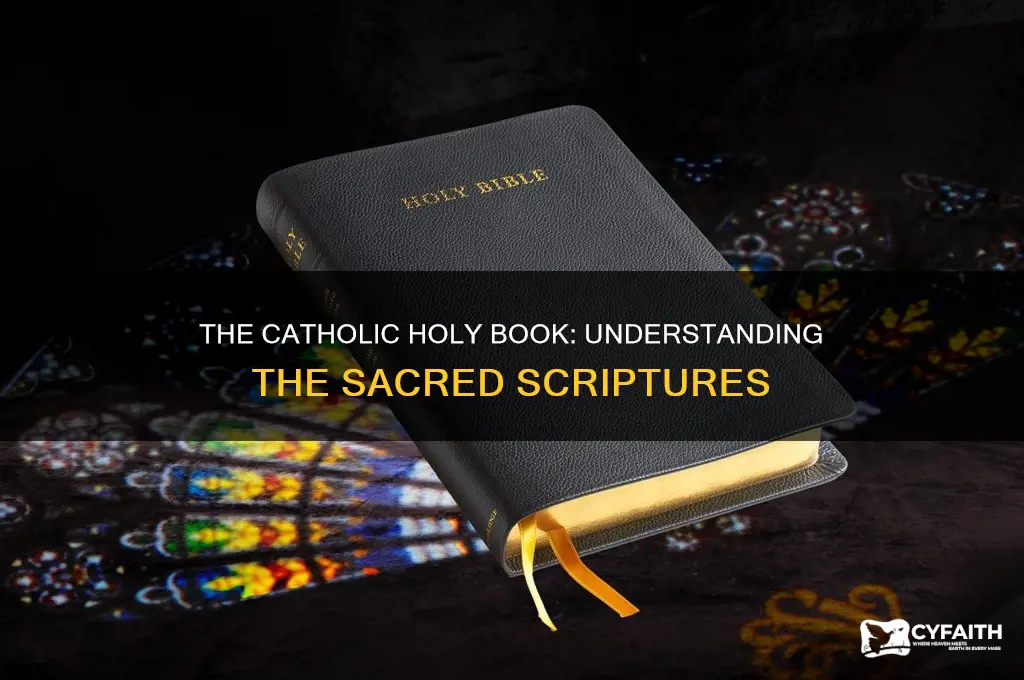 what is the catholic holy book called