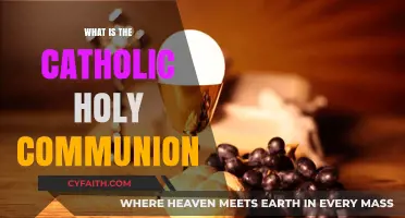 Understanding the Catholic Holy Communion: Meaning, Ritual, and Significance