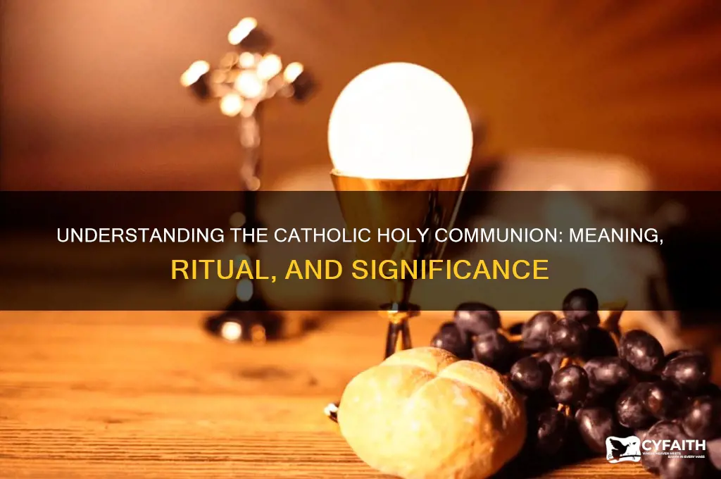 what is the catholic holy communion