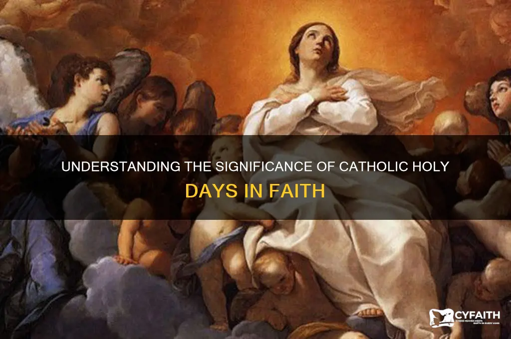 what is the catholic holy day