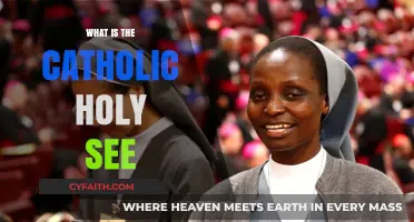 Understanding the Catholic Holy See: Role, History, and Significance