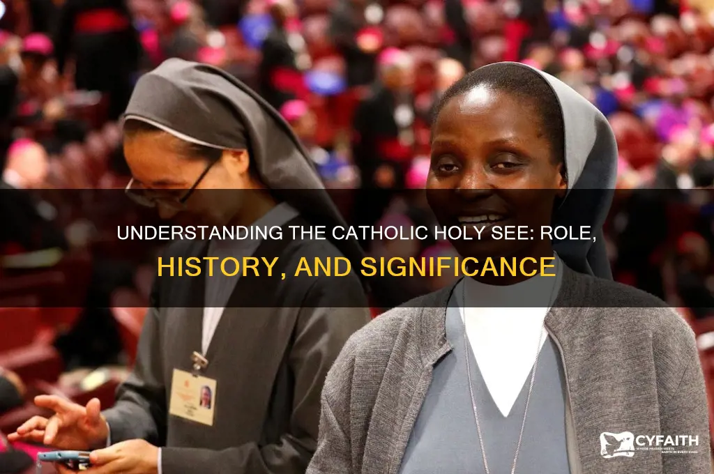 what is the catholic holy see